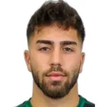 O. Özlesen