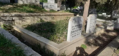 Esin Afşar