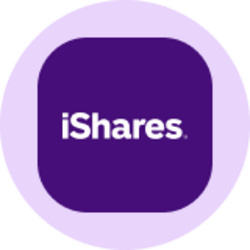 iShares Russell 1000 Growth ETF (Ondo Tokenized ETF)
