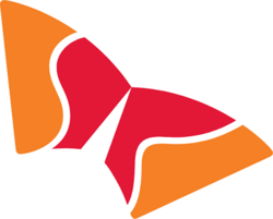 SK Hynix (Backpack Securities)