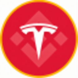 Tesla (bStocks Tokenized Stock)